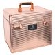 Skrzynka na szczotki Imperial Riding "Shiny Classic" Rosegold 24h