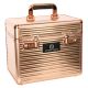 Skrzynka na szczotki Imperial Riding "Shiny Classic Small" Rosegold