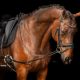 Wypinacze Imperial Riding 24h