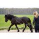 Wodze do pracy z ziemi Imperial Riding "Free Ride"