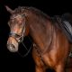 Czambon Imperial Riding "Core"