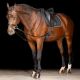 Trójkątne wodze Imperial Riding "Core" 24h
