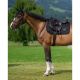 Czaprak skokowy Tommy Hilfiger ''Liberty'' wiosna/lato 2026 Black