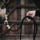 Uwiąz Kentucky "Lead Rope Classic"