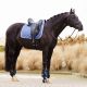 Czaprak ujeżdżeniowy Imperial Riding "Lenny" Sapphire