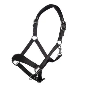 Kantar HKM ''Catherine'' Black 24h