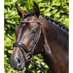Ogłowie Premier Equine "Stellazio" Brown