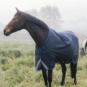 Derka padokowa Kentucky "Waterproof Comfort" 100 g Navy