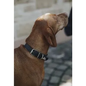 Obroża dla psa Eskadron Hunter "Spark" Black