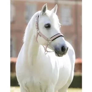 Kantar LeMieux "Heritage Headcollar" jesień/zima 2026 Wild Rose
