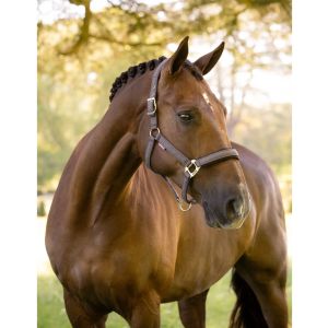 Kantar LeMieux "Heritage Headcollar" jesień/zima 2026 Cocoa