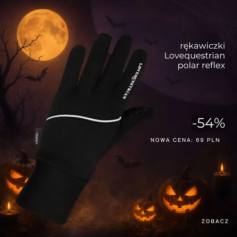 Rękawiczki zimowe Lovequestrian "Polar Reflex" 24h