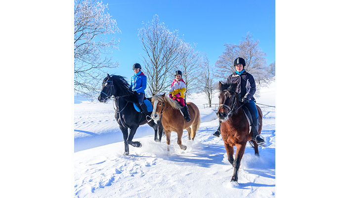 Odzież jeździecka zimą – jak połączyć komfort, ciepło i funkcjonalność?
