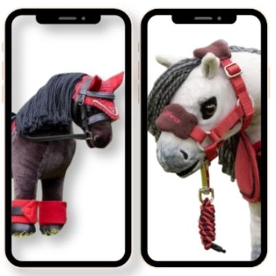 Akcesoria hobby horse - co warto kupić?