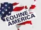 Equine America