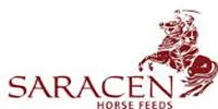 Saracen