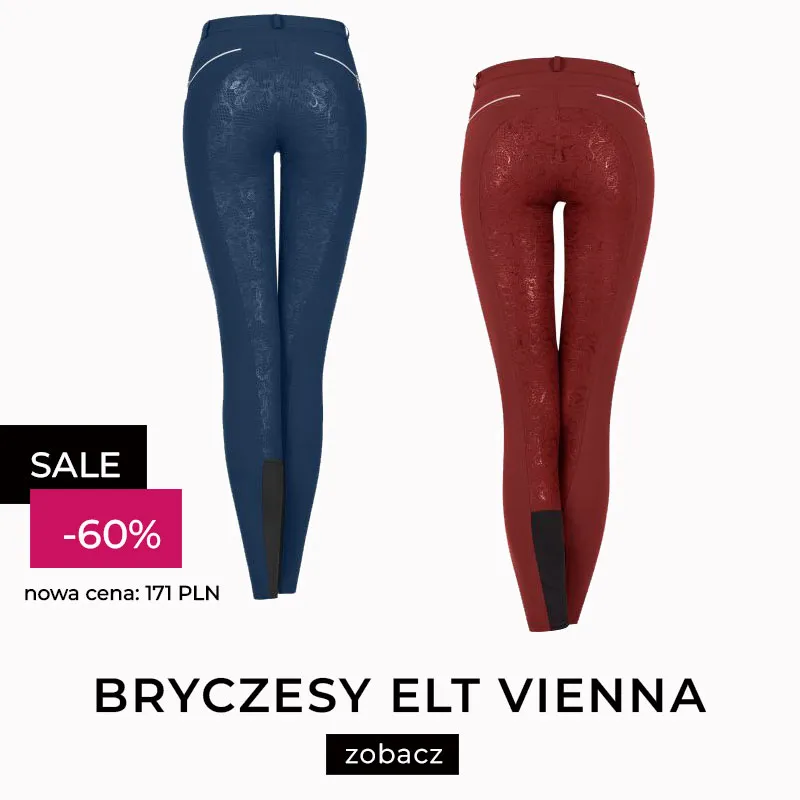 Szukaj: elt vienna 24h