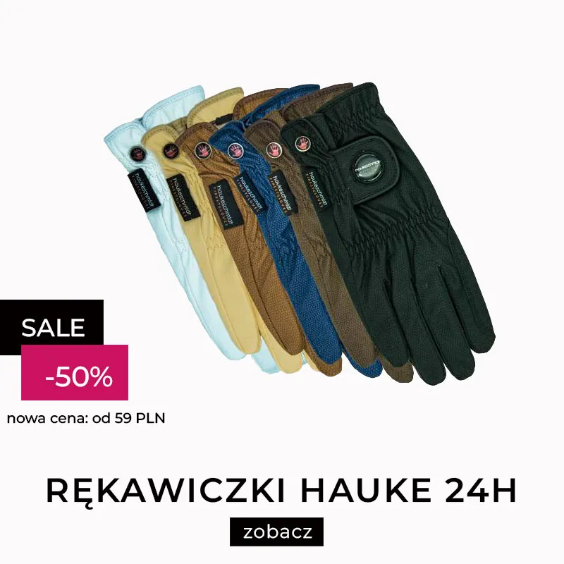 Szukaj: haukeschmidt 24h