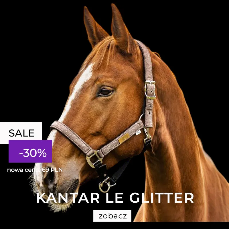 Kantar Lovequestrian "Multicolor Glitter" 24h