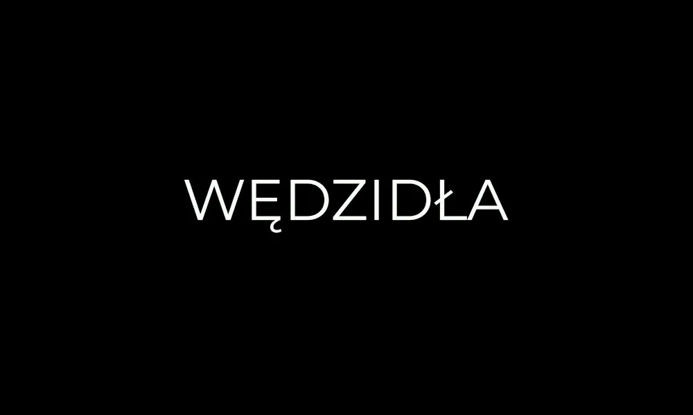 Wędzidła- Test Center
