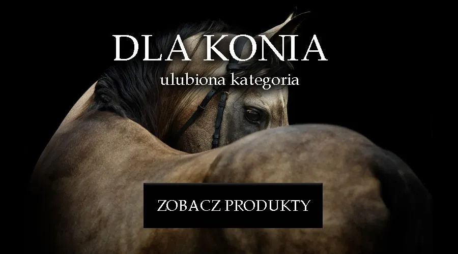 Koń