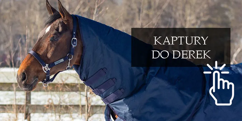 Szukaj: kaptur
