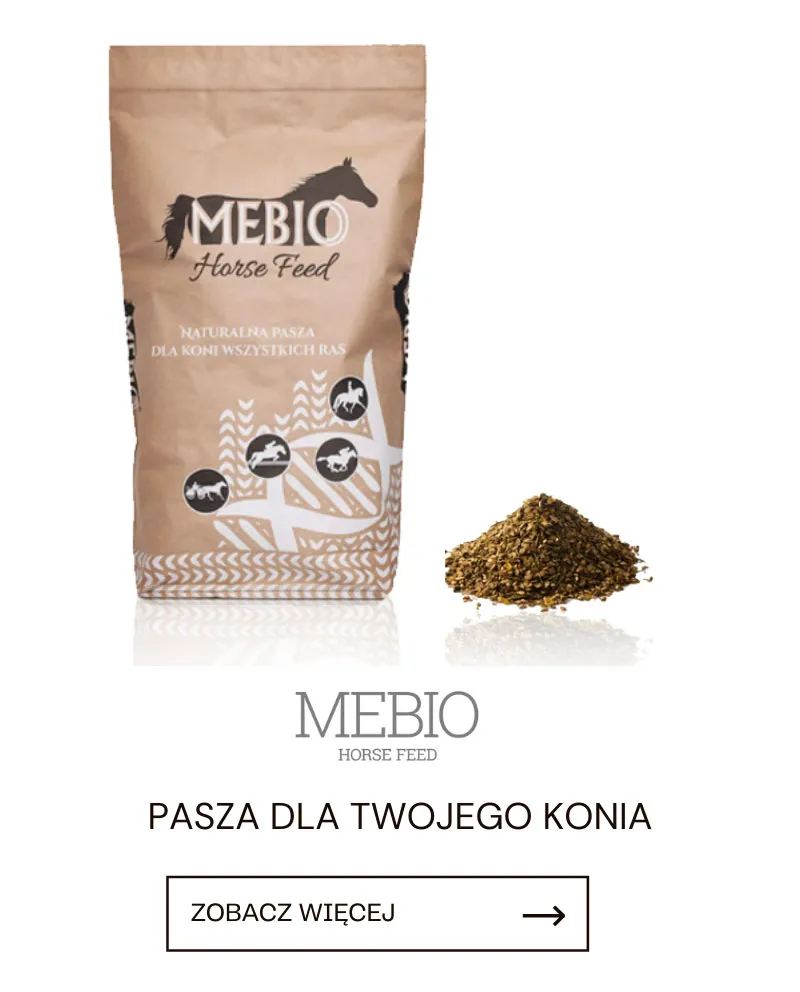 Mebio