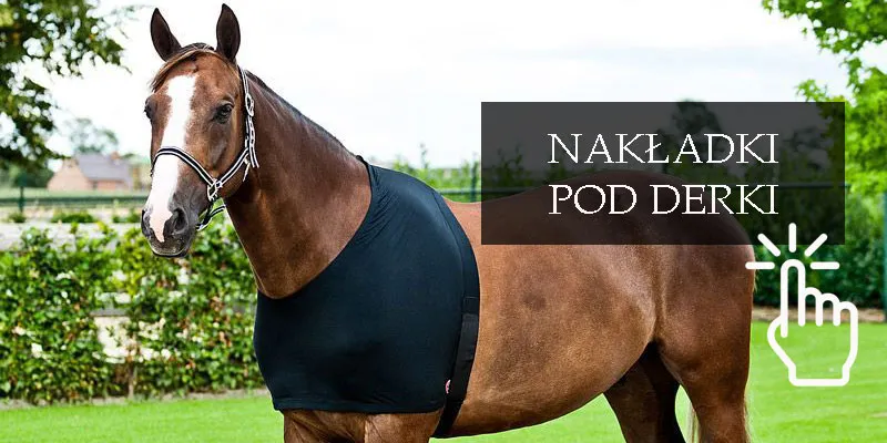 Szukaj: nakładka pod derkę