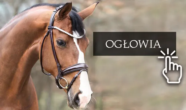 Ogłowia // Akcesoria do ogłowi