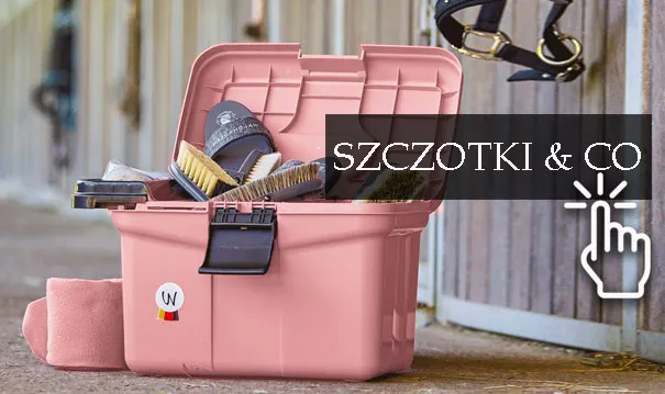 Czyszczenie