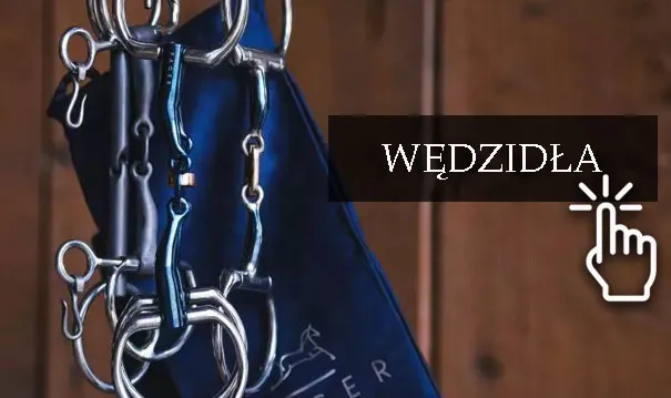 Wędzidła